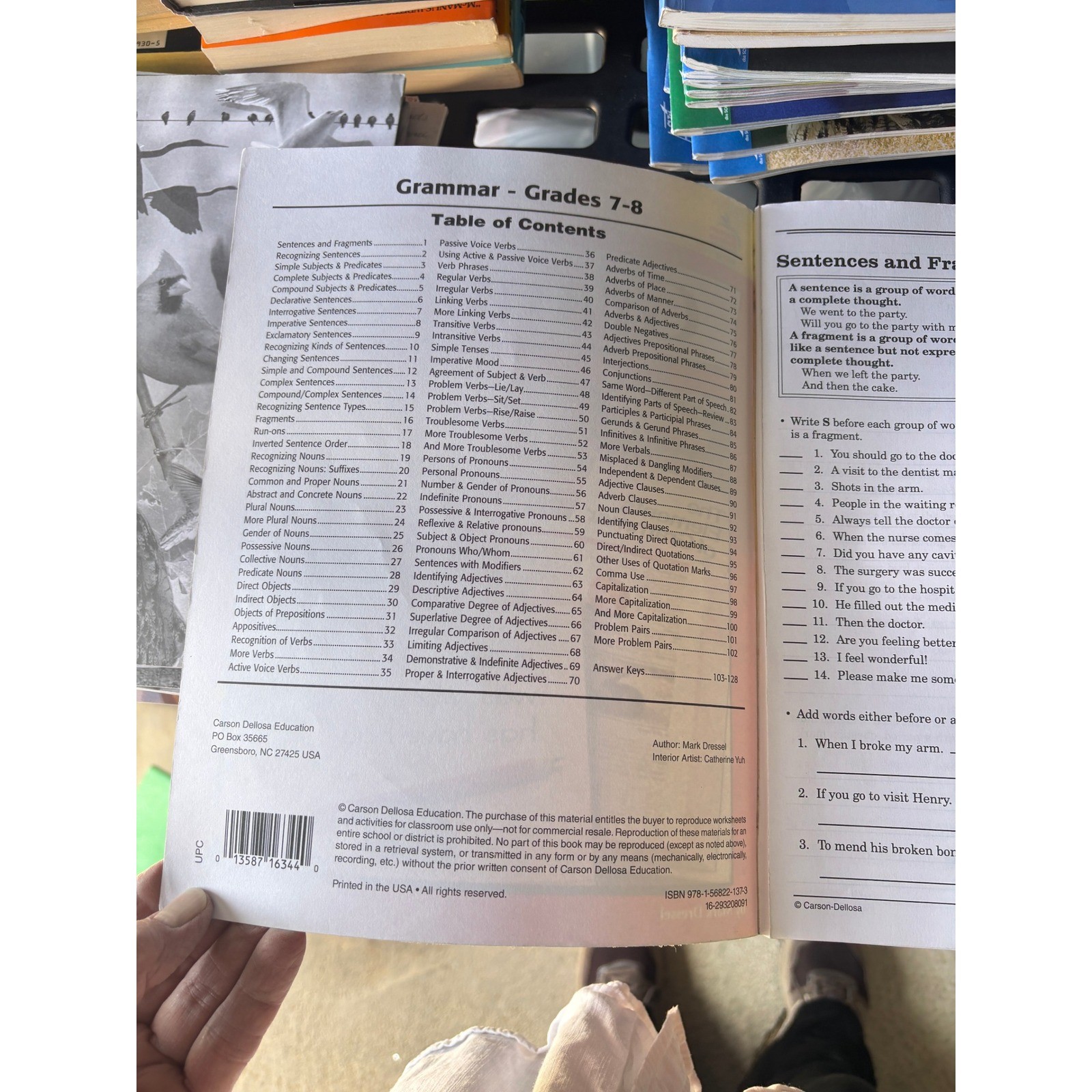 Carson Dellosa Grammar Workbook Grades 7-8 OS Red Reproducible Activities IF8732
