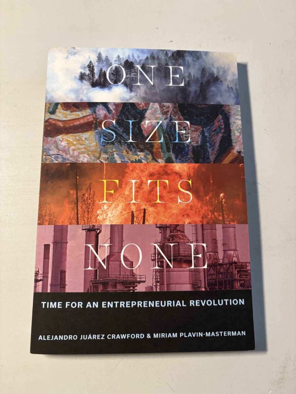 One Size Fits None : Time for an Entrepreneurial Revolution, Paperback by Pla…
