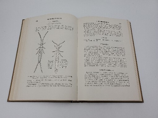 A Textbook of Entomology by Herbert H. Ross John Wiley & Sons, Inc. 1948 HB Book