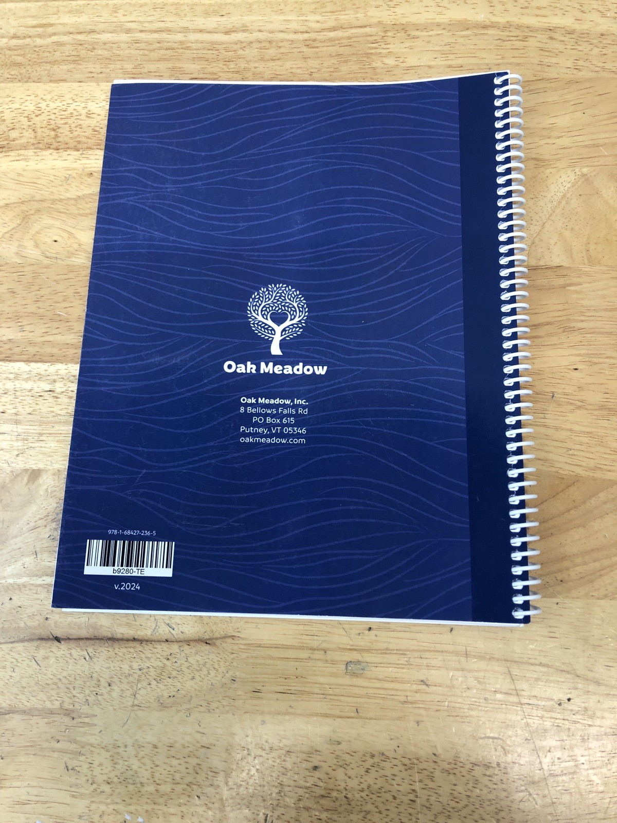 Oak Meadow High School Economics Teacher Edition + The Economics Book Textbook
