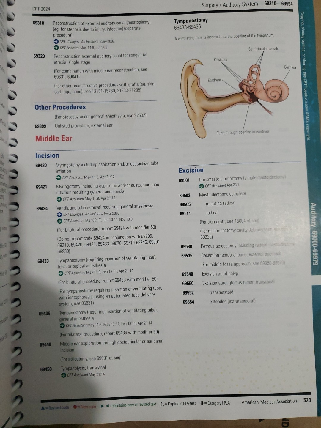 CPT 2024 Professional Edition (CPT coding book by AMA)