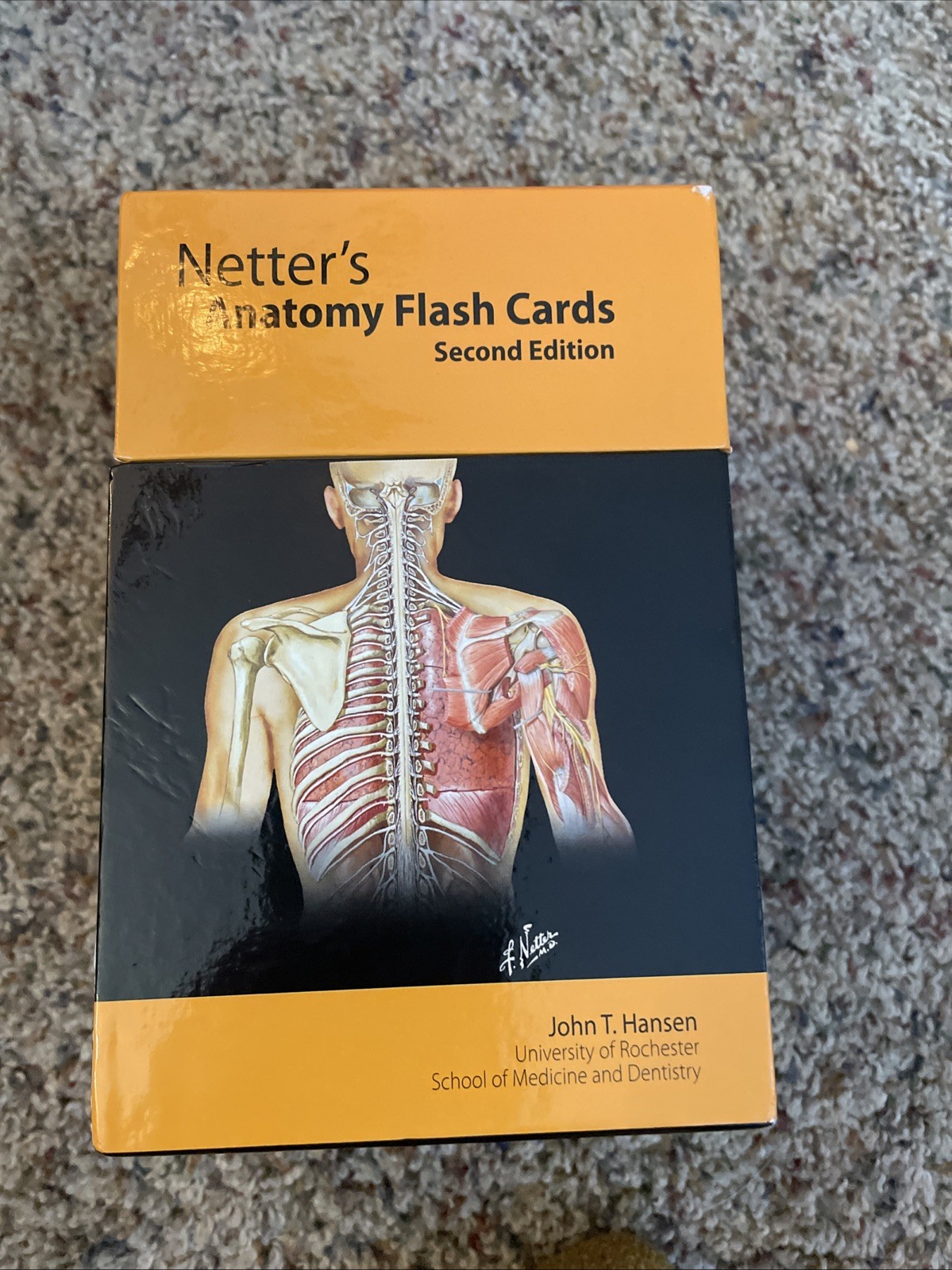 Netter’s Anatomy Flash Cards John T. Hansen 2nd Edition The Smart Way To Study
