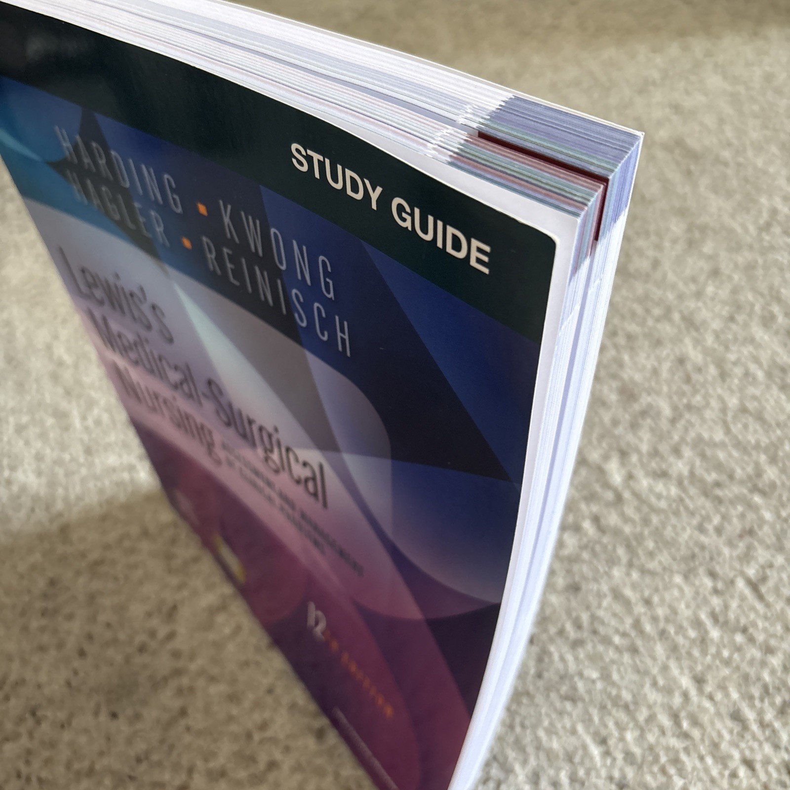 Study Guide For Lewis’s Medical-Surgical Nursing 12th Edition NEW