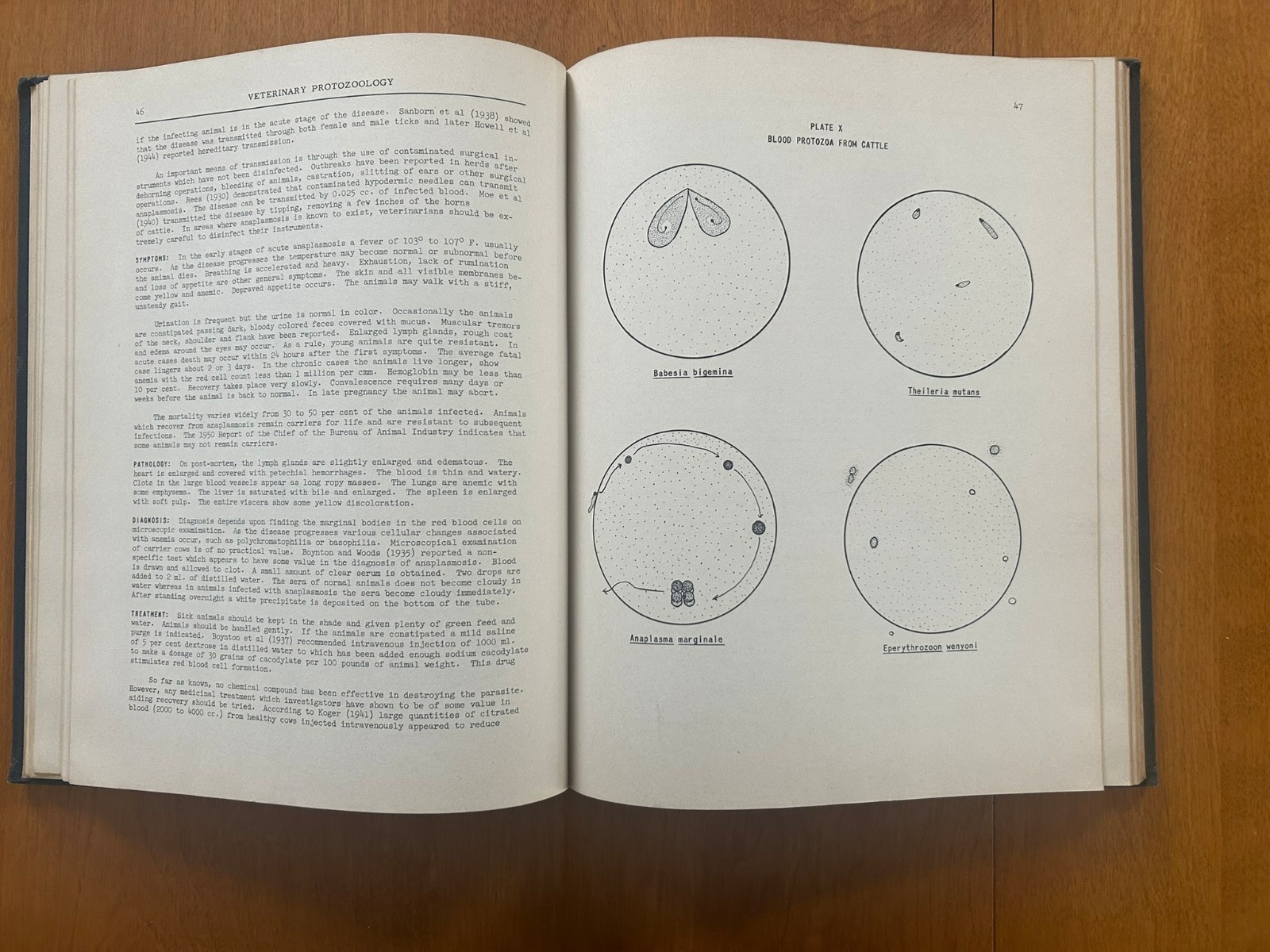 Vintage 1952 Revised Edition – Veterinary Protozoology