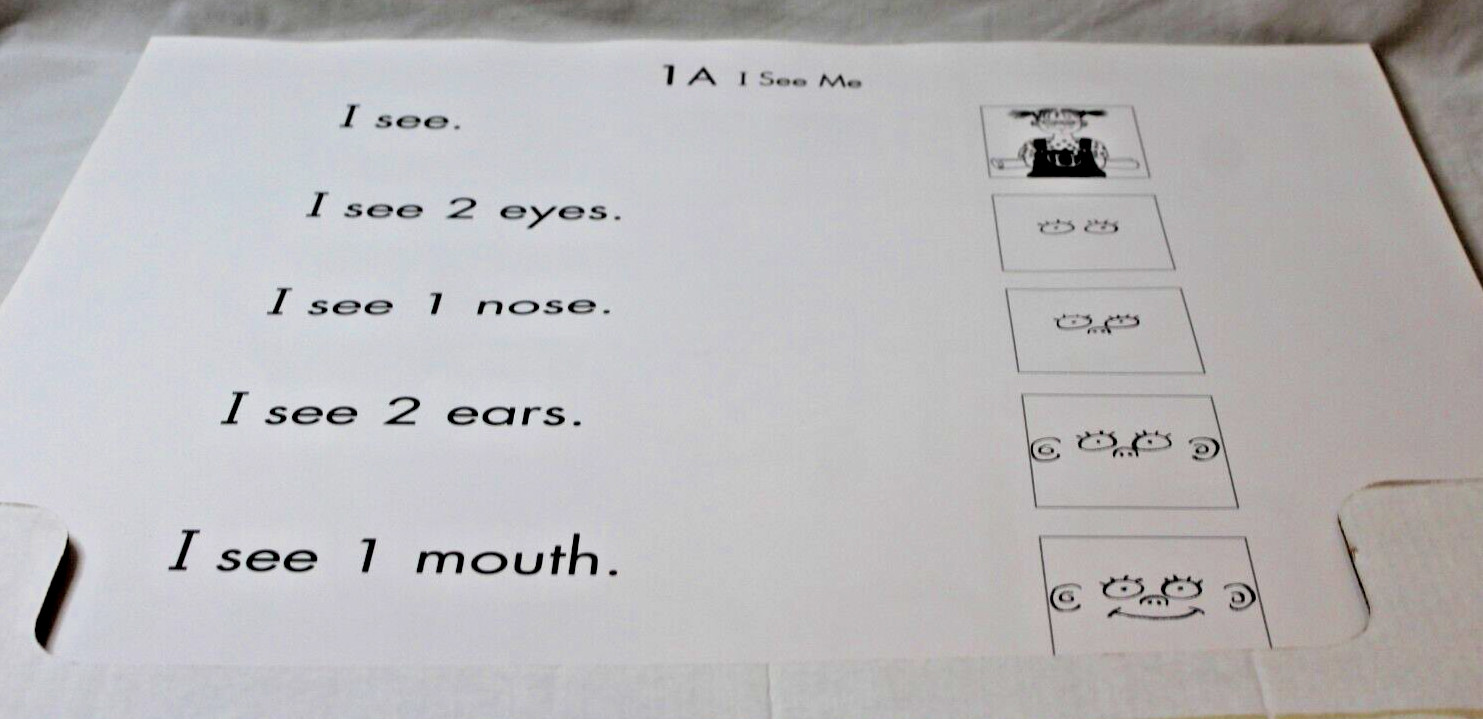 SIPPS Developmental Studies Central Beginning Level Story Charts 35″ x 27″ Set