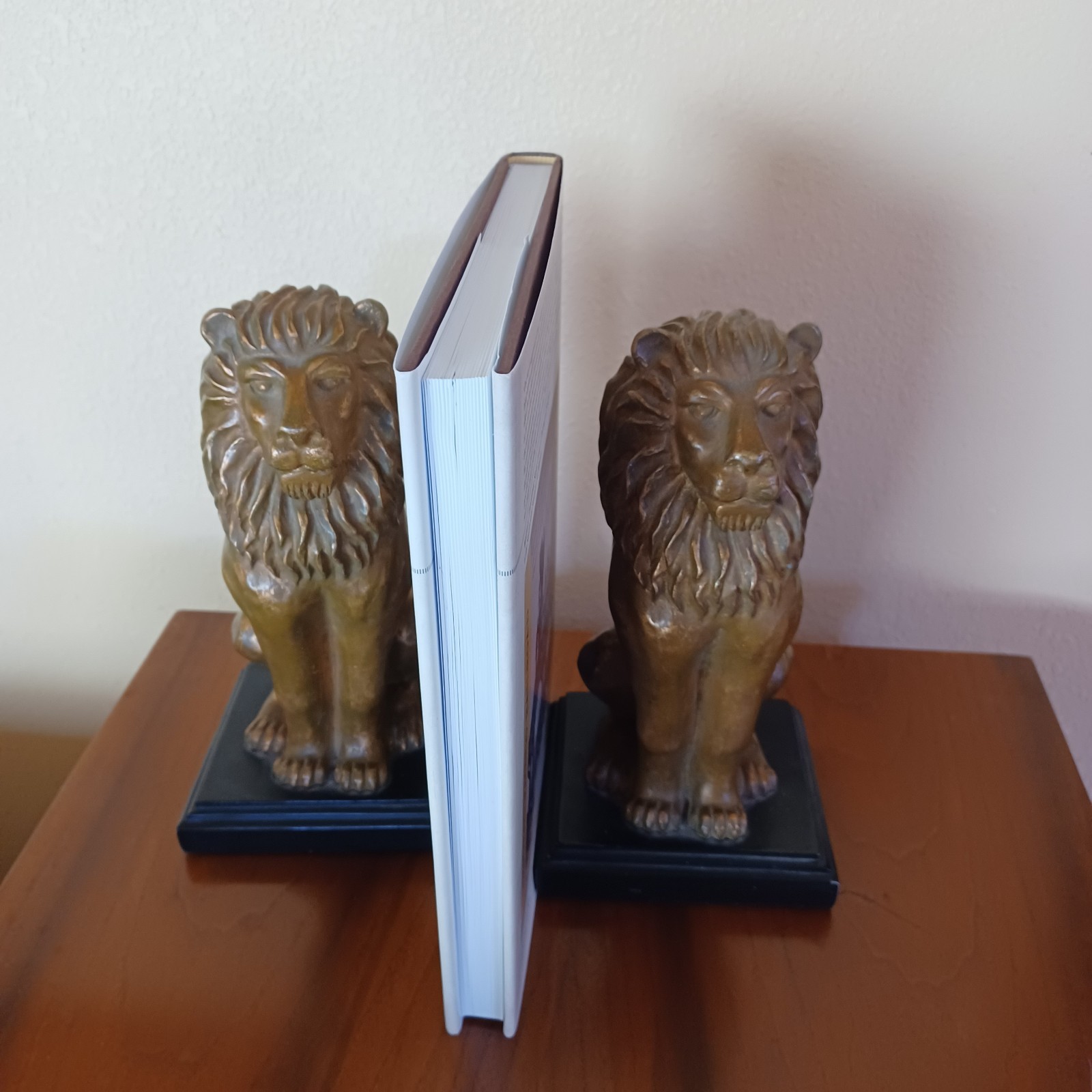 IRON MUSE: PHOTOGRAPHING THE TRANSCONTINENTAL RAILROAD Hardcover UNREAD!