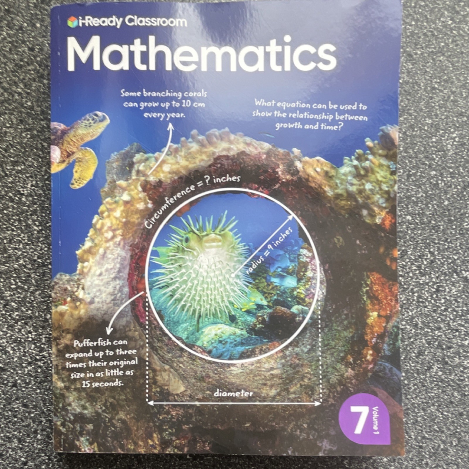 i-Ready Classroom Mathematics Grade 7 Volume 1 Paperback Curriculum Associates