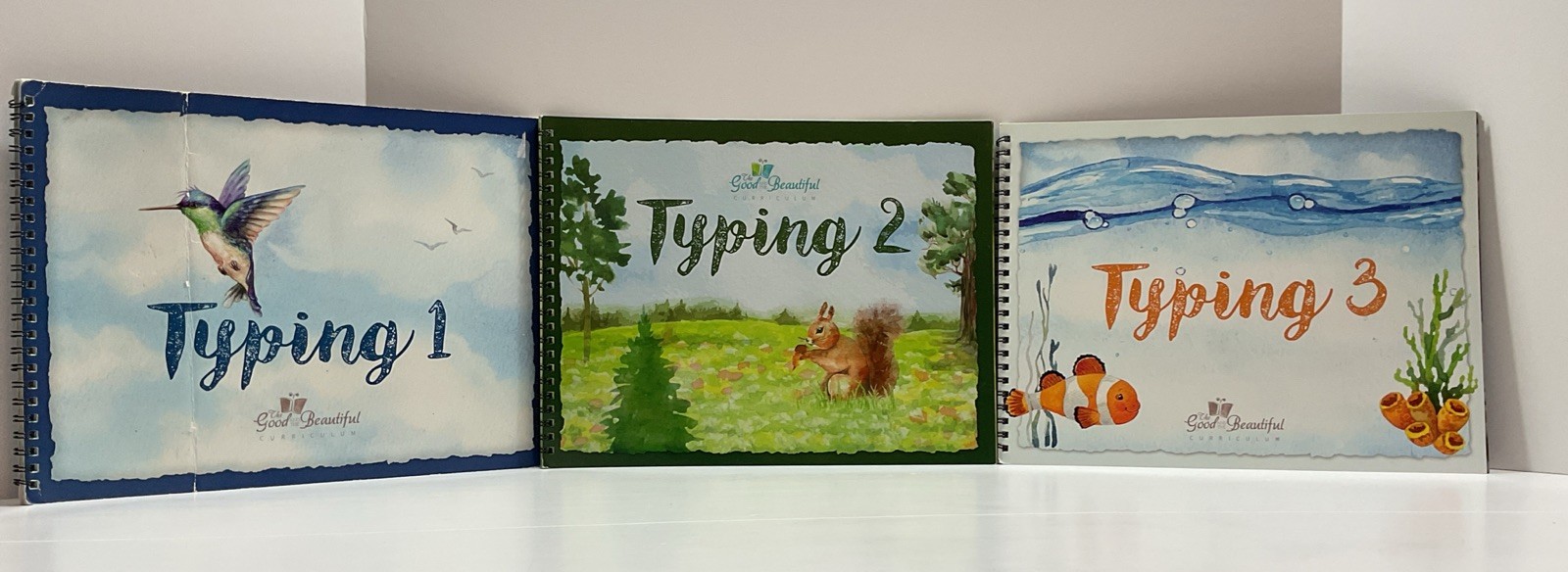 Jenny Phillips Homeschool Typing Books 1-3 Spiral Bound Trade Paperback