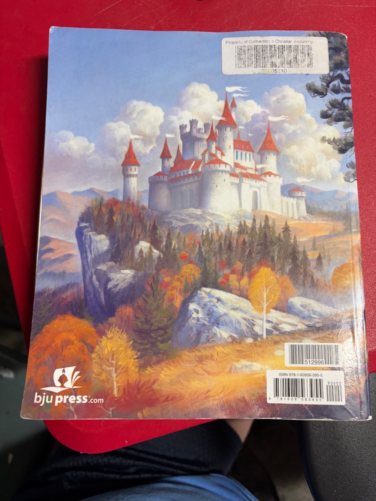 Reading 5 Quests – Student BJU Press Textbook – Reading 5th Grade Third Edition
