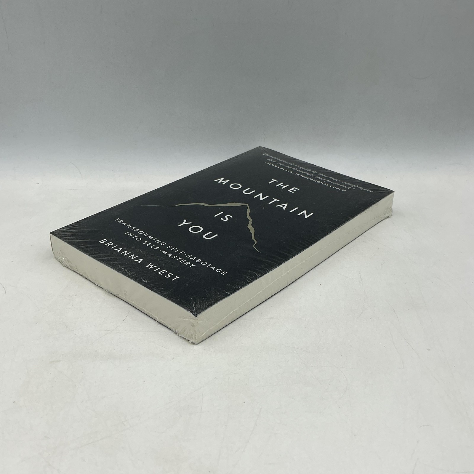 The Mountain Is You Brianna Wiest Black Trade PB 2020 Thought Catalog Self-Help