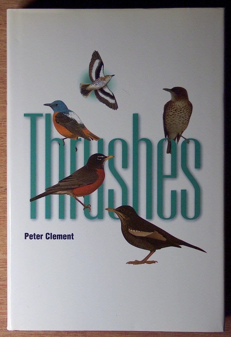 Thrushes