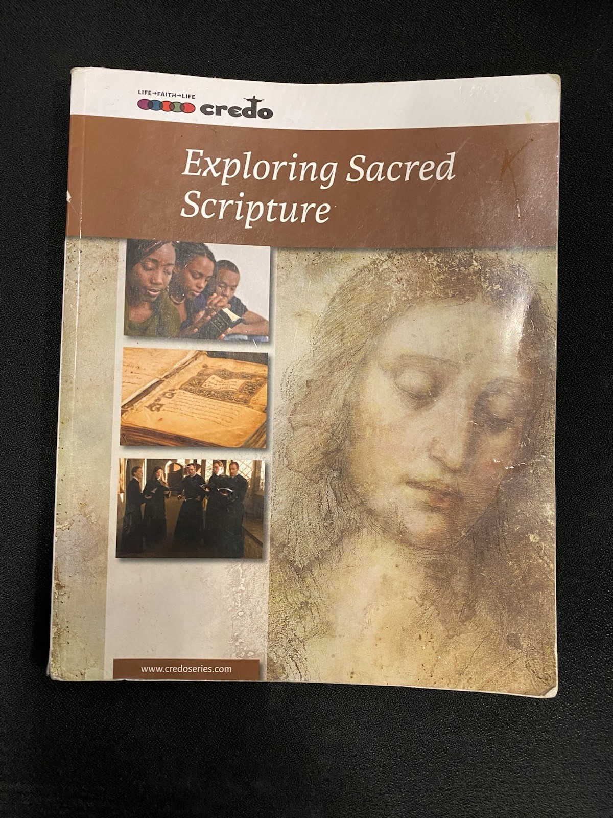 (Elective Option A) Exploring Sacred Scripture, Student Text
