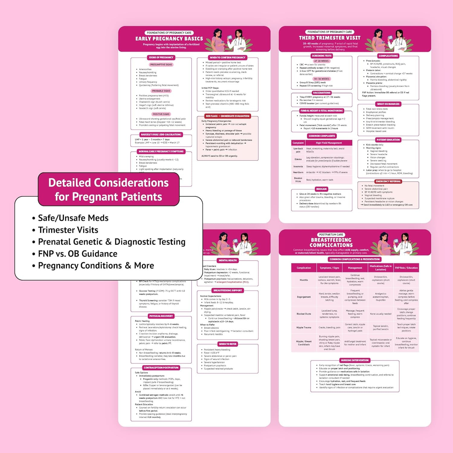 The Essential Family Nurse Practitioner Guide