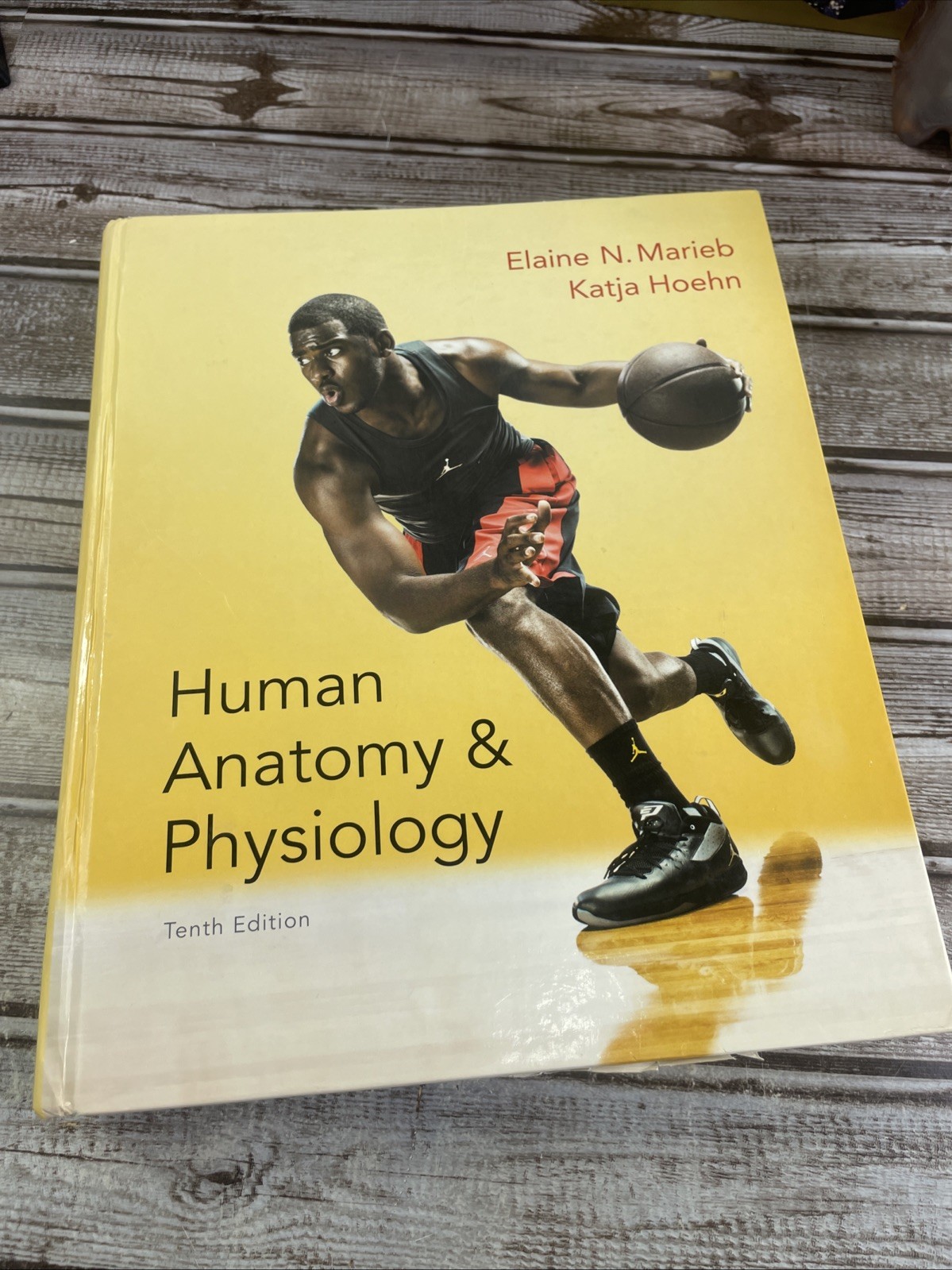 Human Anatomy & Physiology — Marieb & Hoehn — 10th Ed — HC