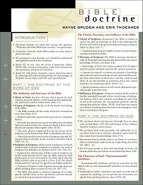 Bible Doctrine Laminated Sheet .. NEW