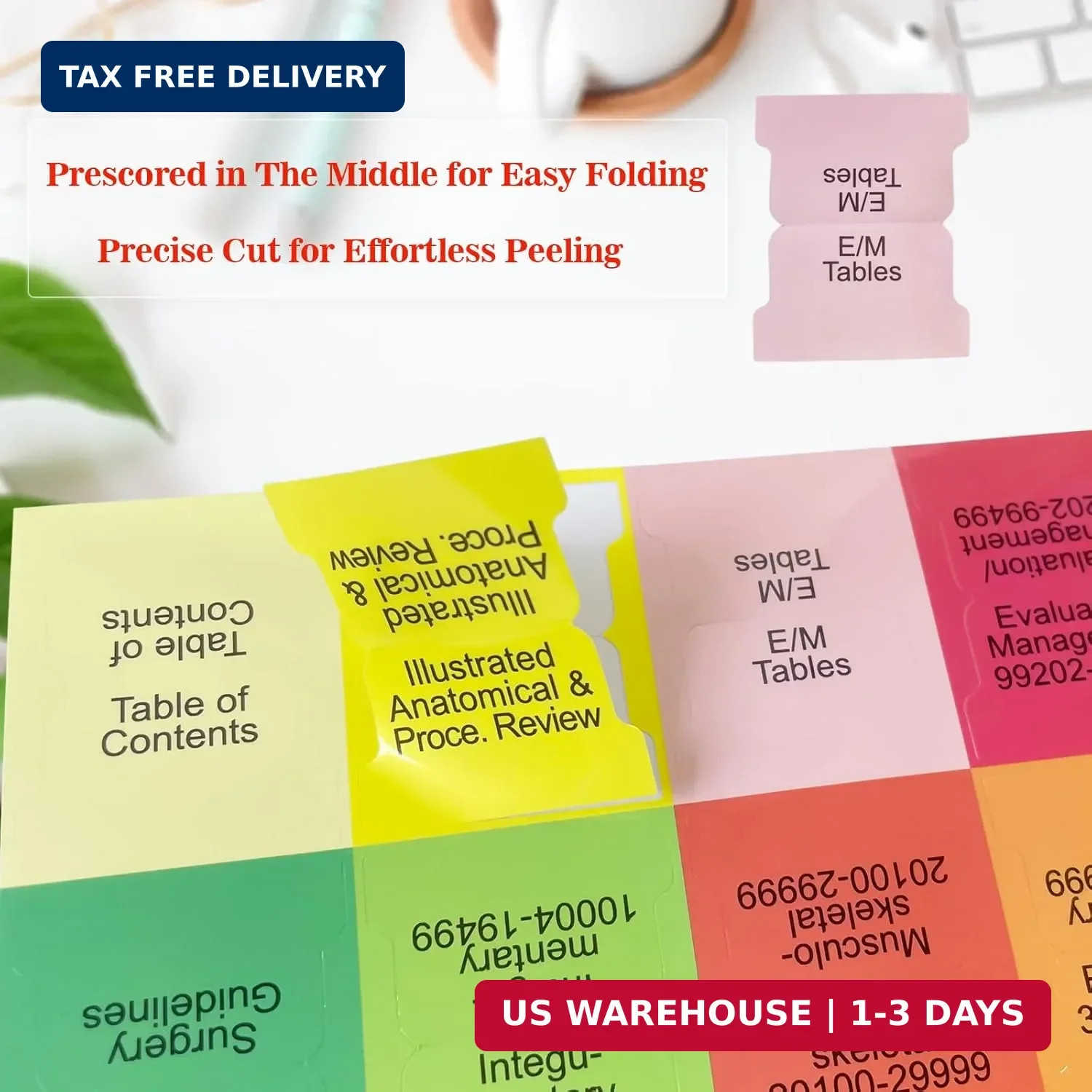 Upgraded Index Tabs for CPT 2026 & ICD-10-CM 2026-AAPC Version, Complete Book Ta