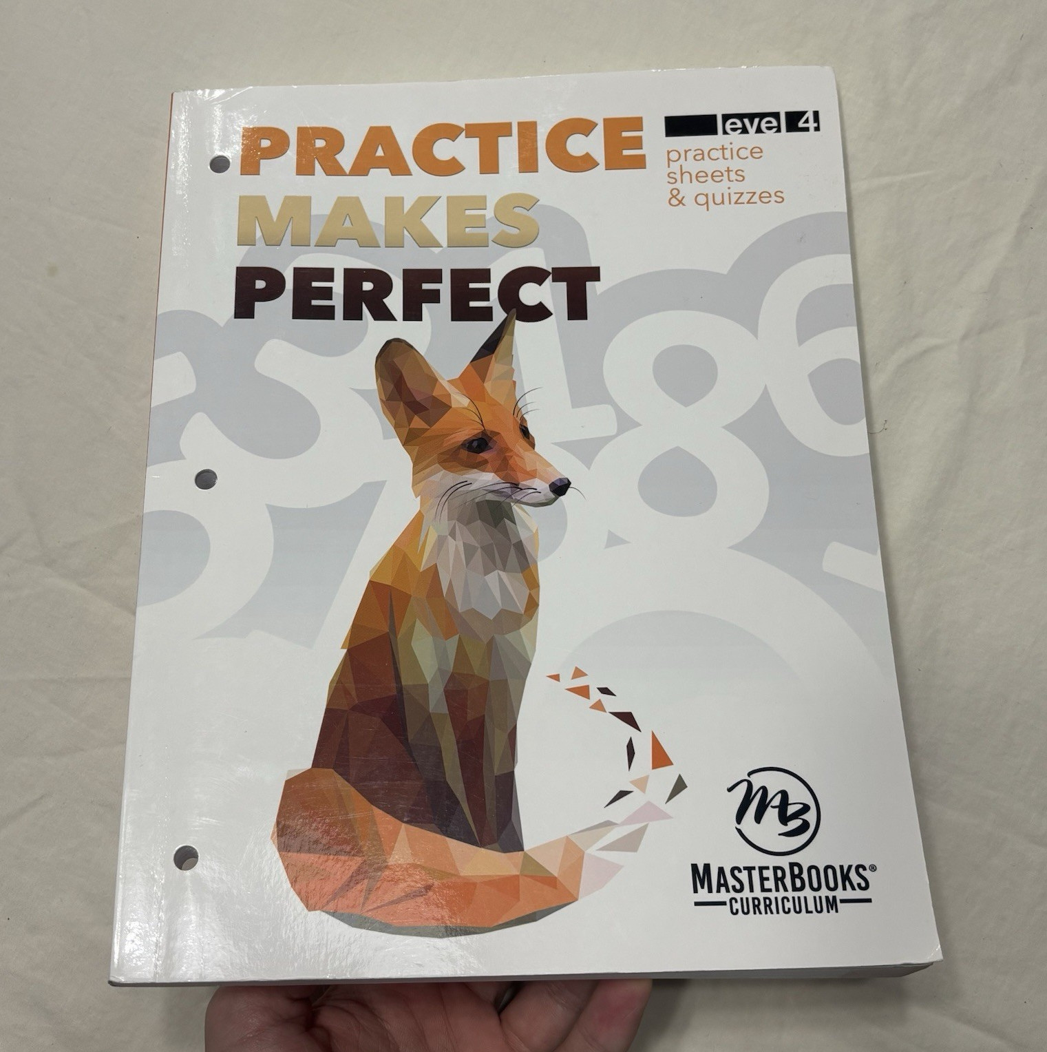 Practice Makes Perfect Level 4 Practice Sheets & Quizzes O’Dell PB