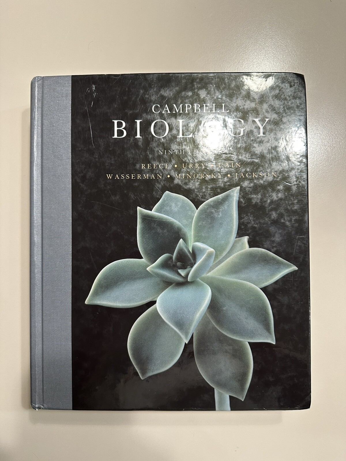 Campbell Biology by Peter V. Minorsky, Robert B. Jackson, Michael L. Cain, Lisa