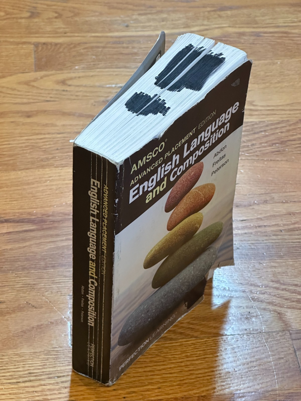 AMSCO Advanced Placement AP Edition English Language & Composition Textbook USED