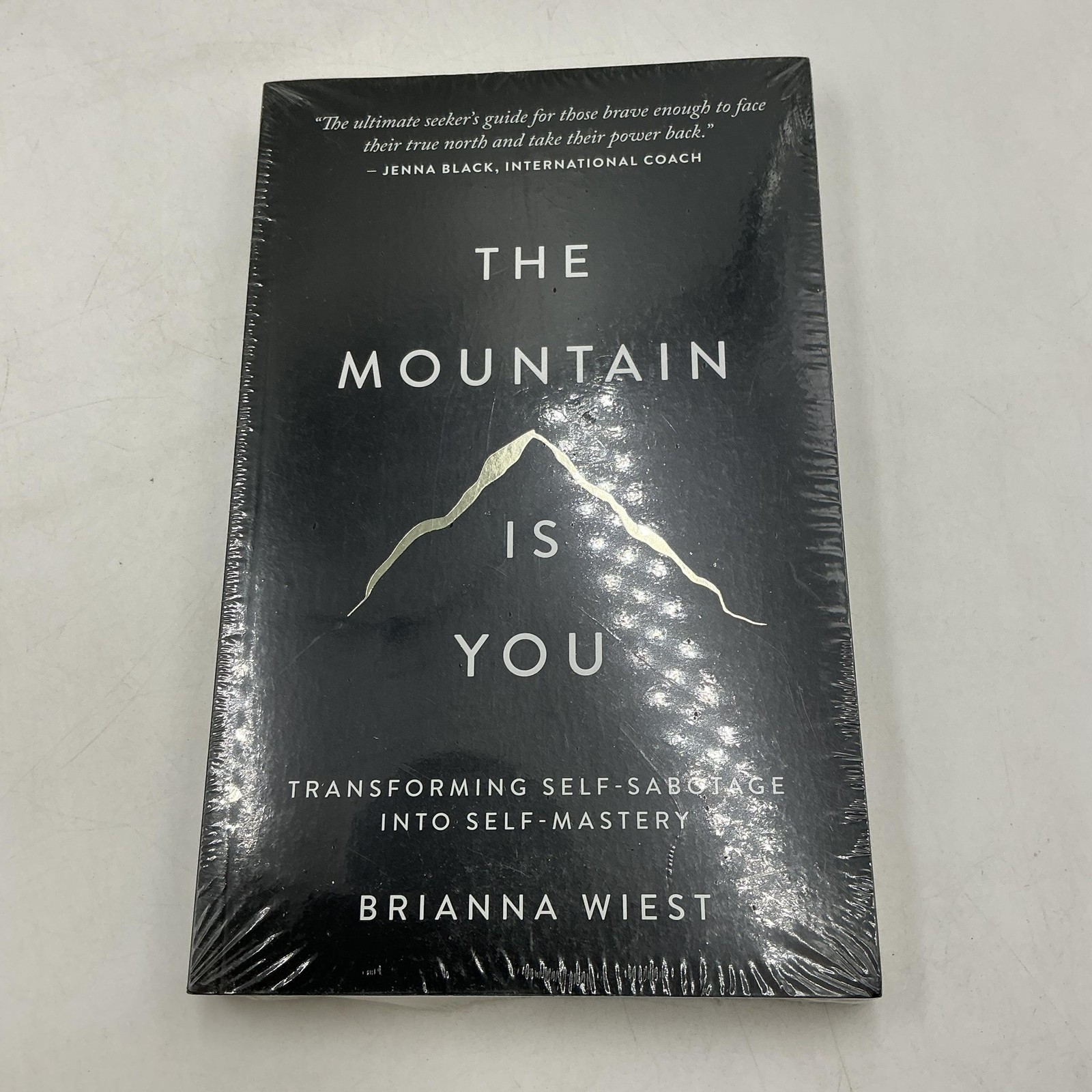The Mountain Is You Brianna Wiest Black Trade PB 2020 Thought Catalog Self-Help