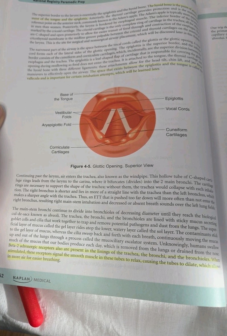 Paramedic National Registry Prep 2nd Ed. 2019 Practice+Proven Stratagies. Kaplan