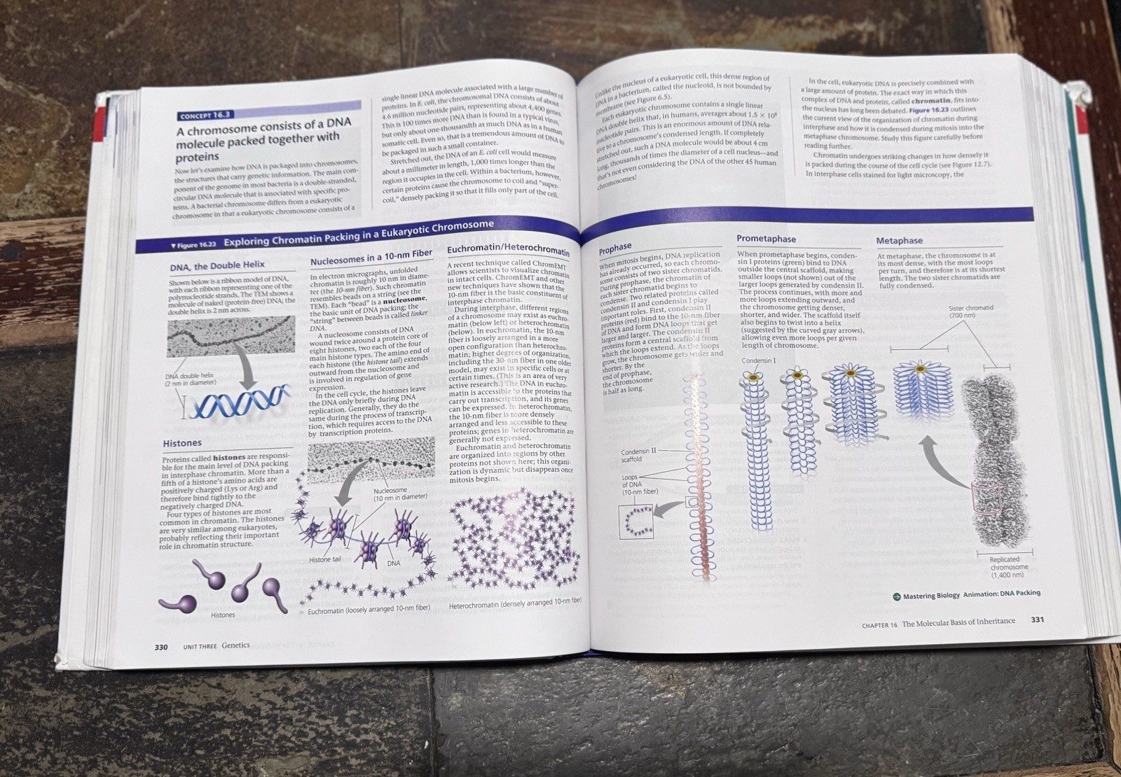 Campbell Biology Twelfth 12th Edition Pearson Hardcover Rental Edition