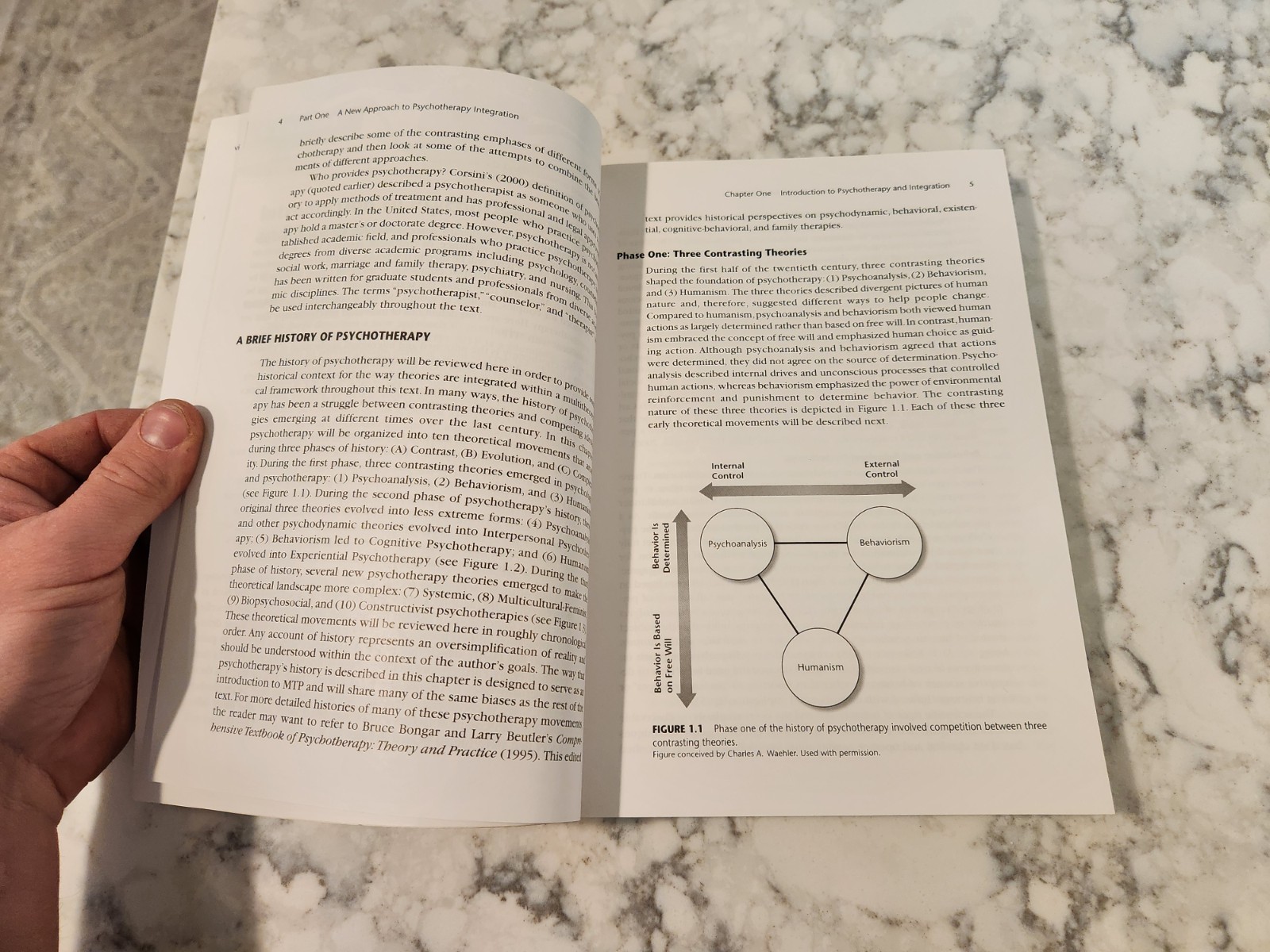 Integrative Multitheoretical Psychotherapy Jeff Brooks-Harris 2008 1st Edition