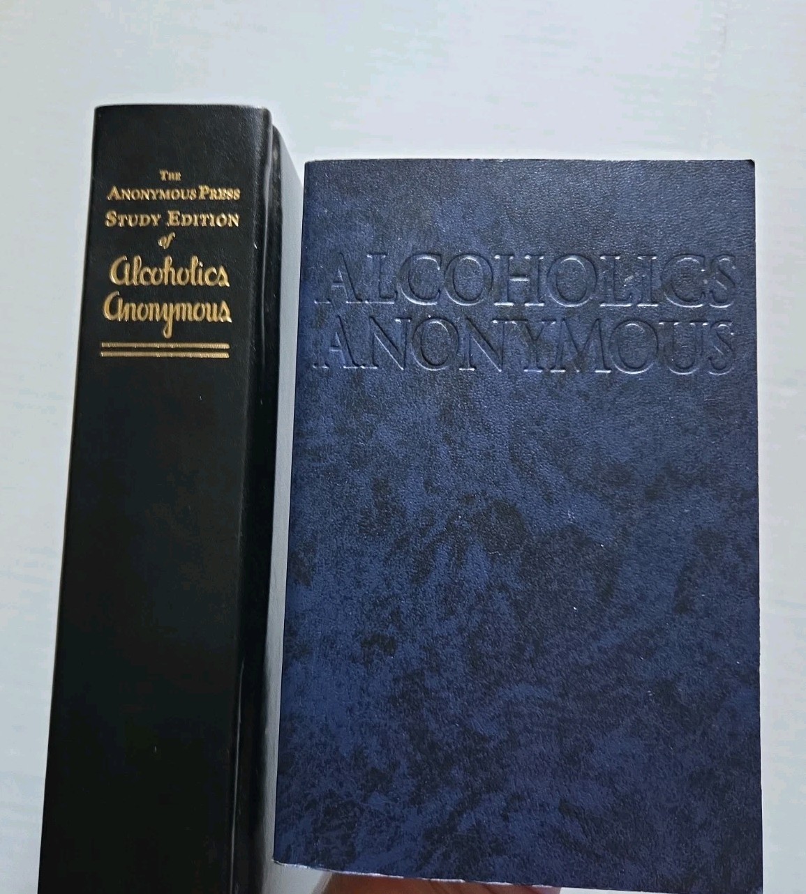 The Anonymous Press Study Edition of Alcoholics HC & Alcoholics Anon Self Help