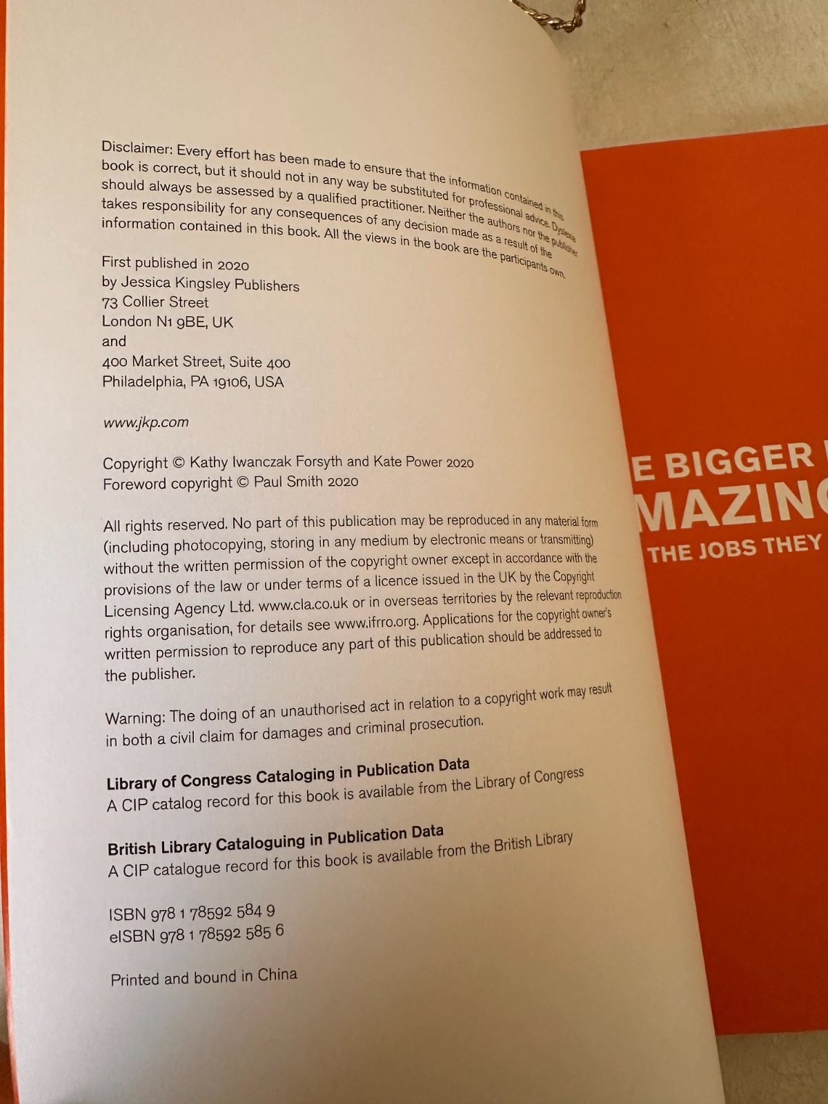The Bigger Picture Book of Amazi… by Forsyth, Kathy Iwanc
