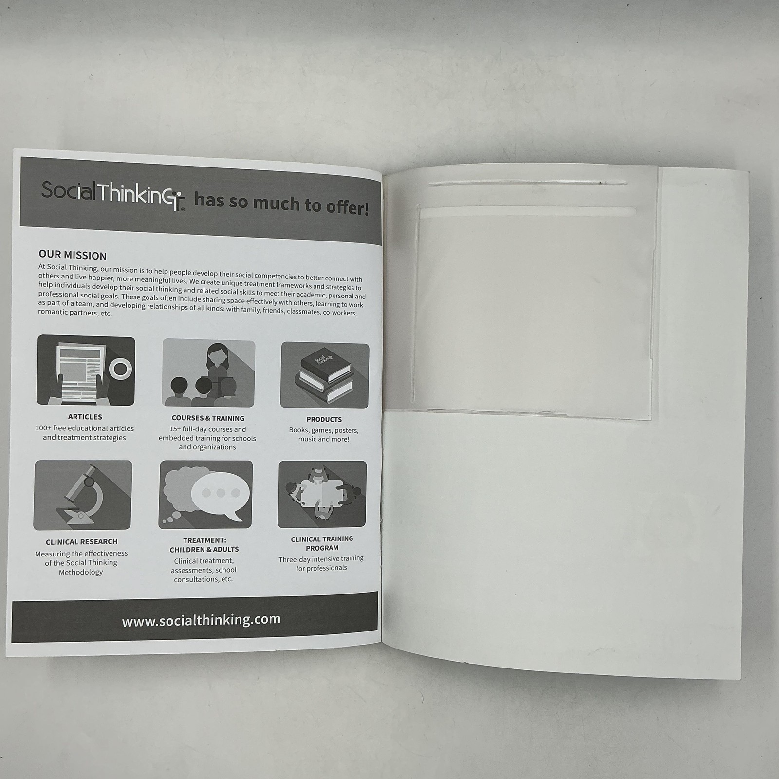 Social Thinking Thinksheets For Tweens And Teens Michelle Garcia 2011 No CD