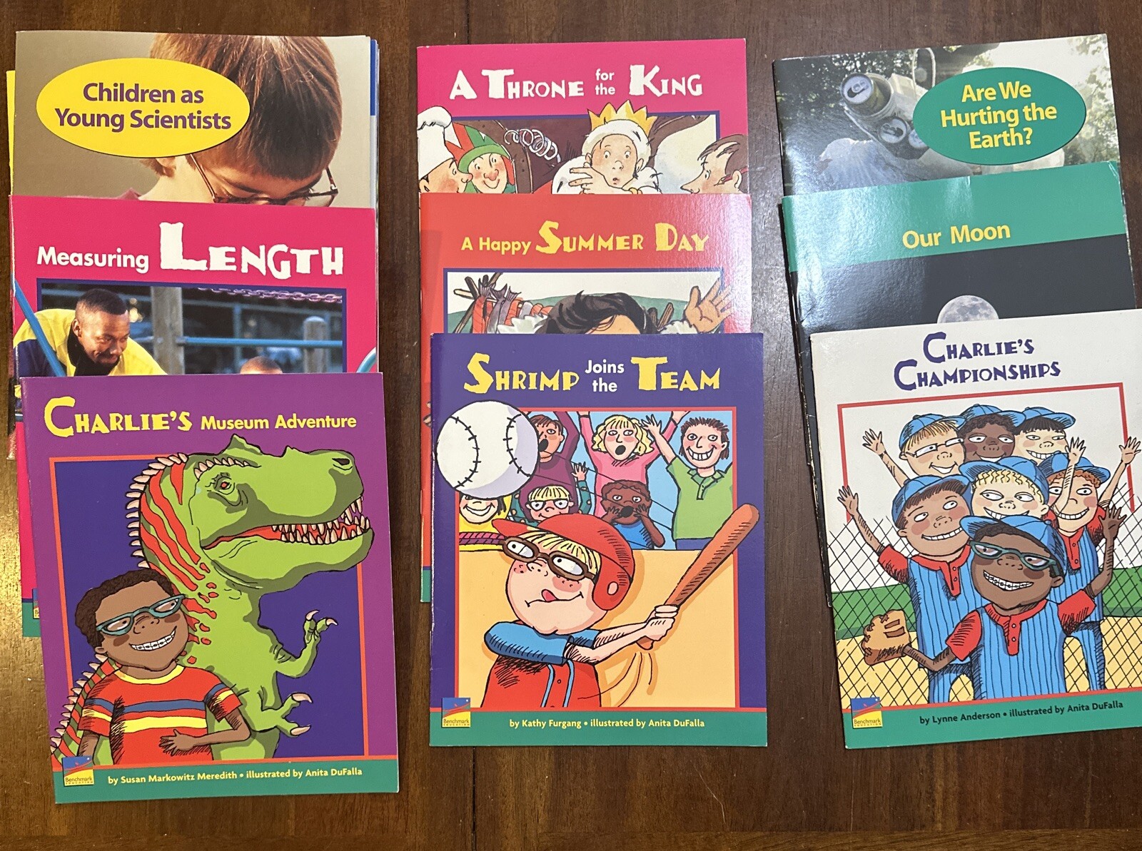 Lot Of 80 Leveled Readers F-M Benchmark Education Early Connections Homeschool