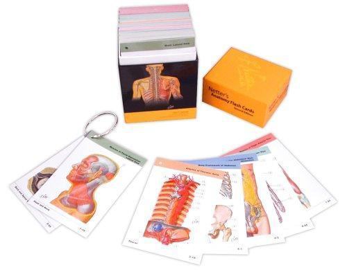 Netter Basic Science Ser.: Netter’s Anatomy by John T. Hansen (2006, Cards,Flash