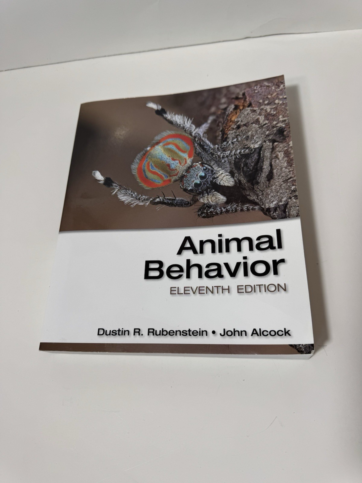 Animal Behavior John Alcock Dustin R. Rubenstein 2019 Trade Paperback