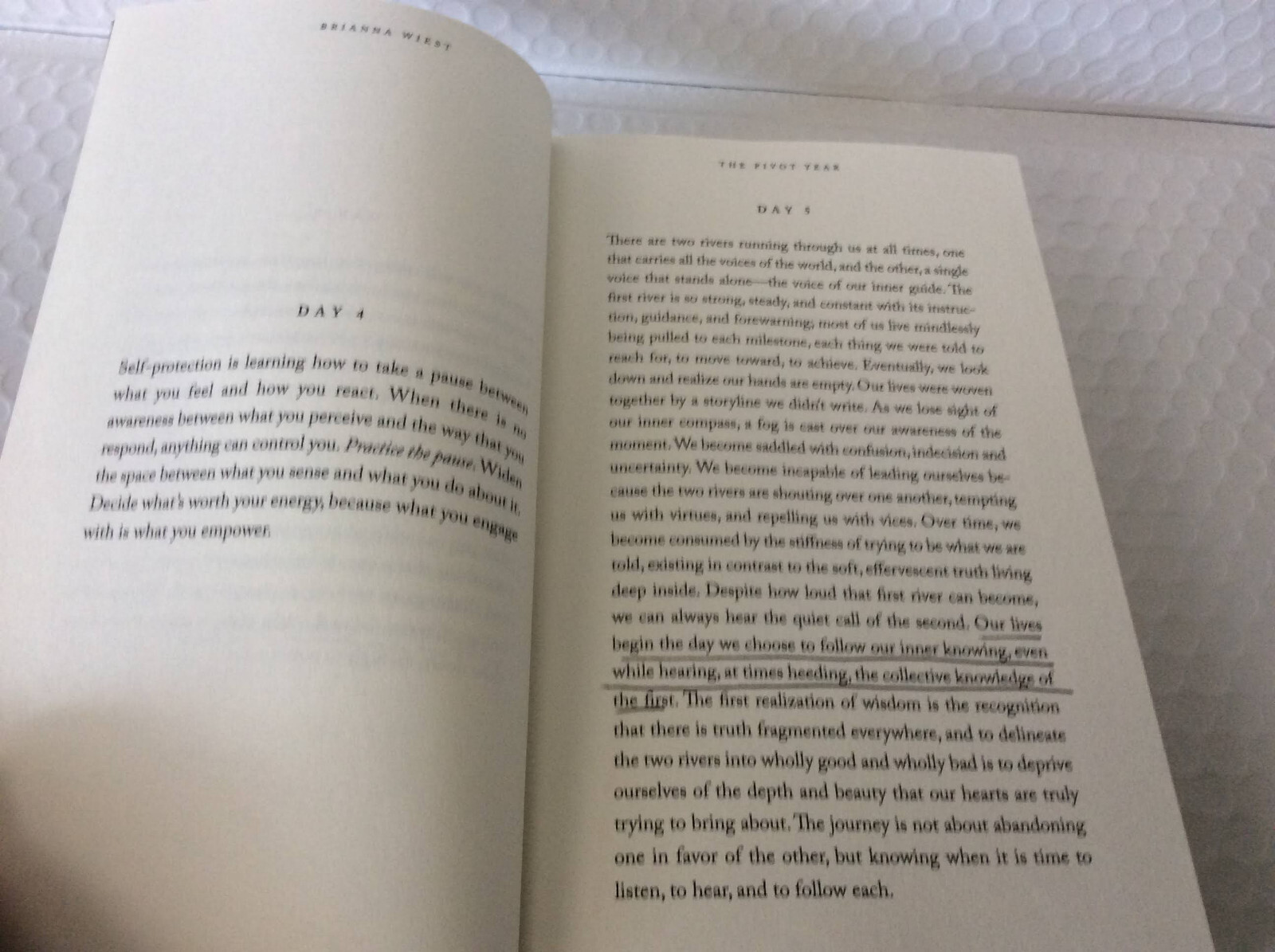 The Pivot Year: 365 Days Become the…by Brianna Wiest (2023, Paperback) SIGNED