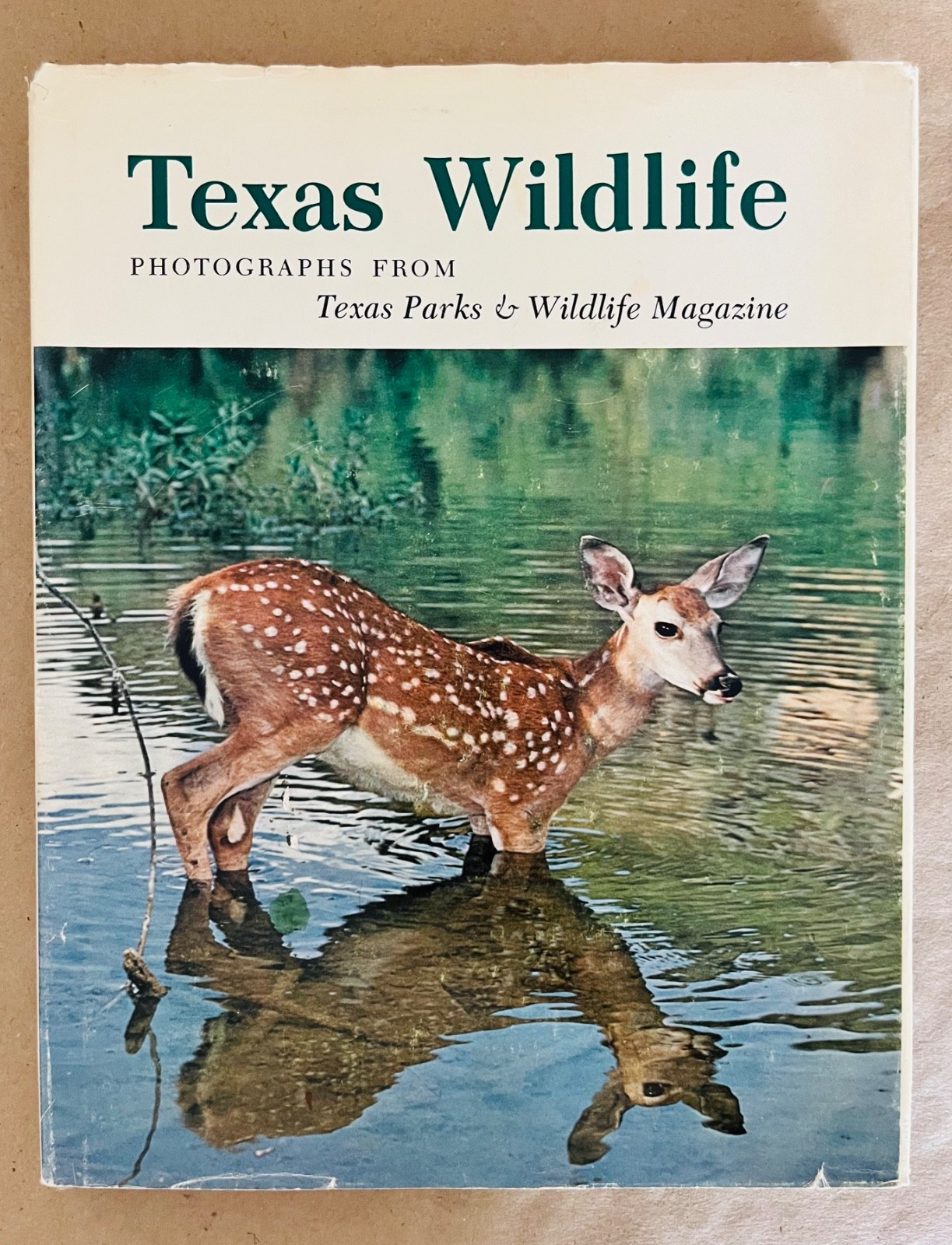 1st Edition Texas Wildlife: Photographs from Texas Parks & Wildlife 1978