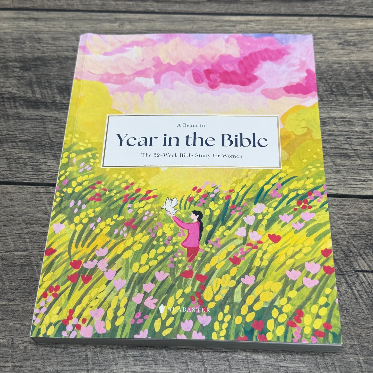 A Beautiful Year in the Bible Alabaster Creative Inc. 2024 52-Week Bible Study