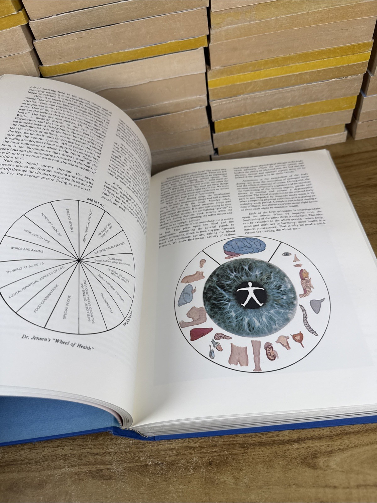 Iridology: The Science and Practice in the Healing Arts, Vol. 2 (1st Edition)
