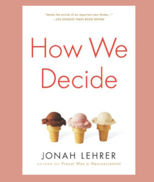 Lot 2: How We Decide (Jonah Lehrer) & Decision Book (Mikael Krogerus) -Brand New
