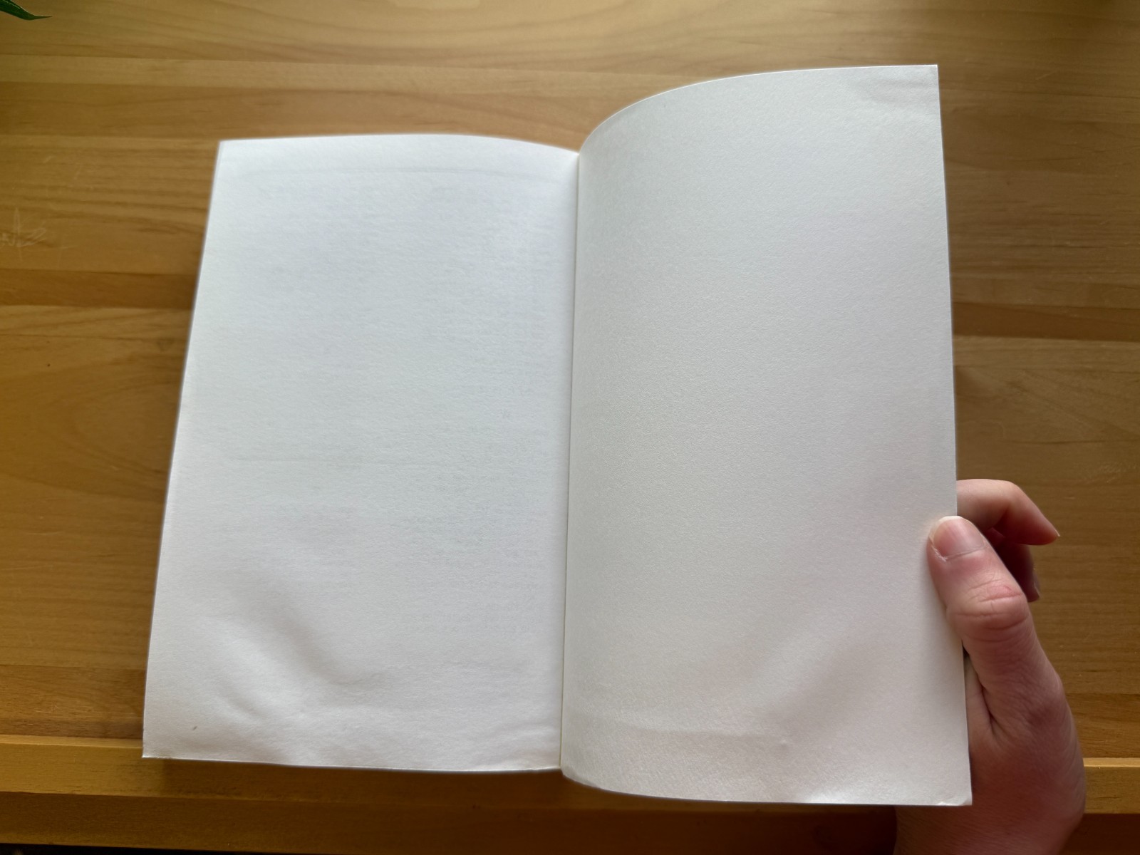 The Cure For All Advanced Cancers by Hulda Regehr Clark New Century Press
