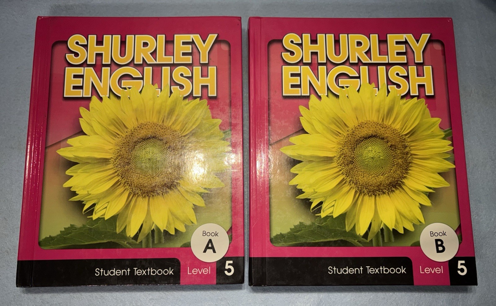 Shurley English Level 5 Student Texts A & B- 5th Grade Hardcover