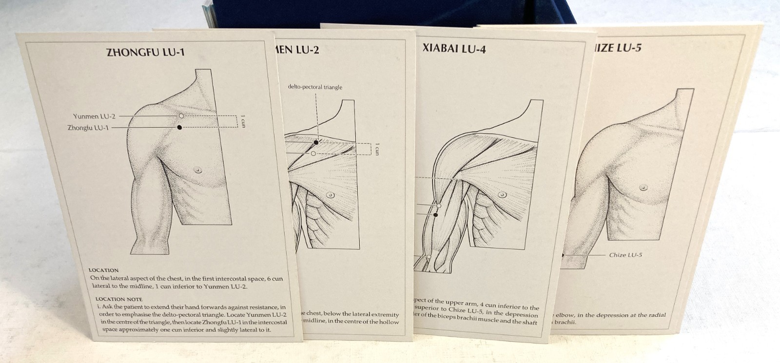 Flashcards Box Set for “A Manual of Acupuncture” Mazin Al-Khafaji Peter Deadman