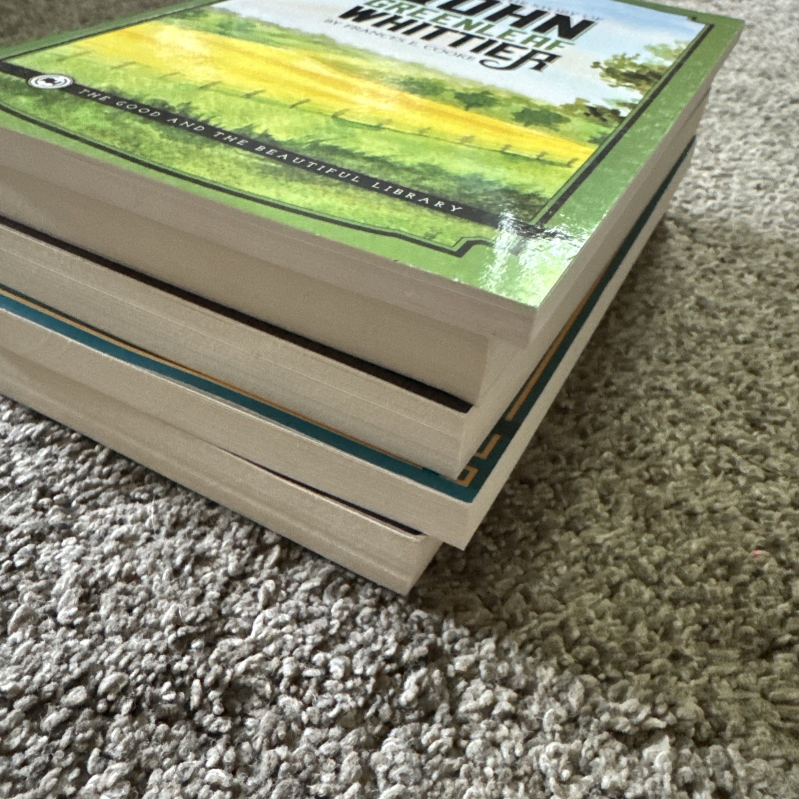 TGTB High School 1 Language Arts (Missing Unit Booklets)