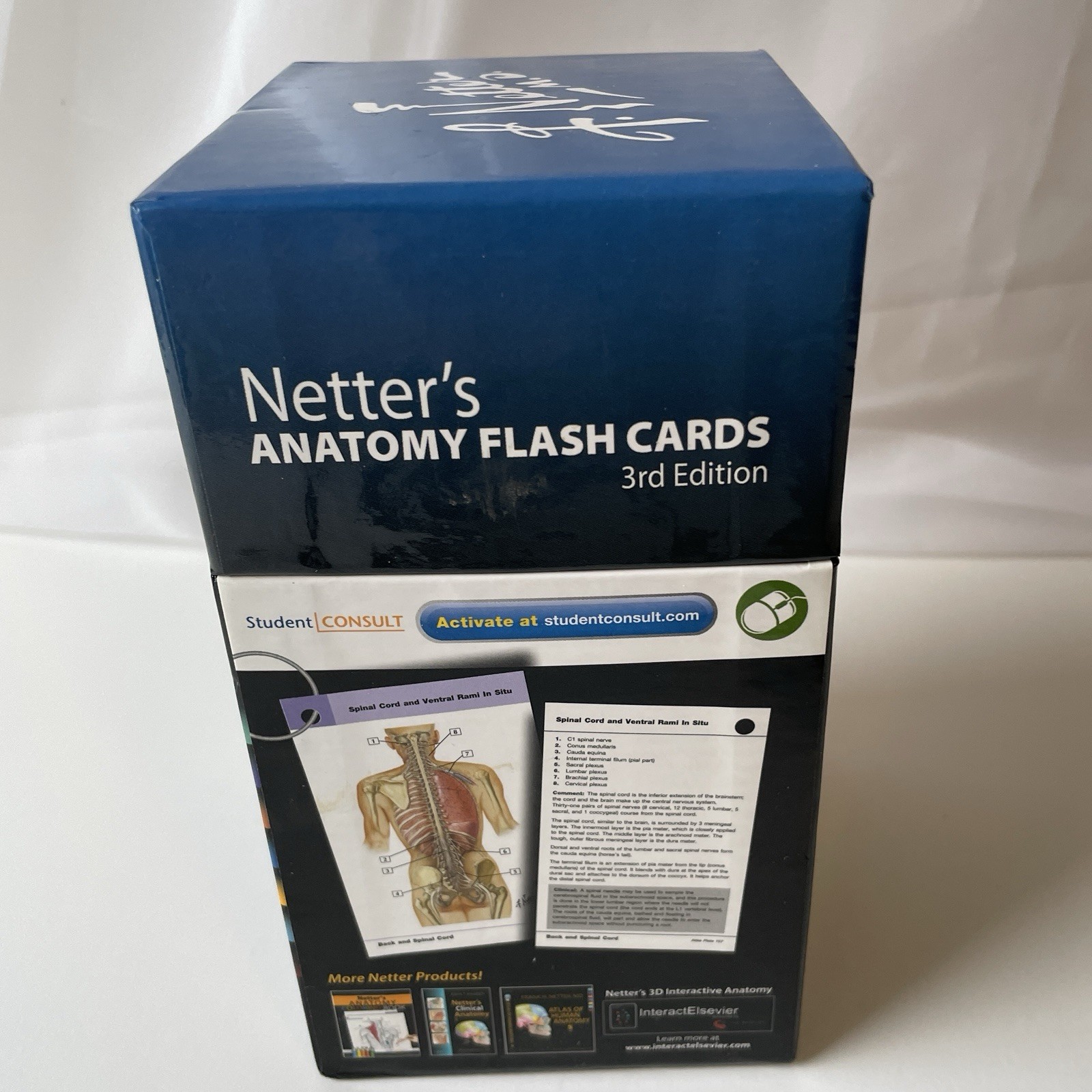 Netter’s Anatomy Flash Cards: with Online – Cards, by John T. Hansen – Very Good