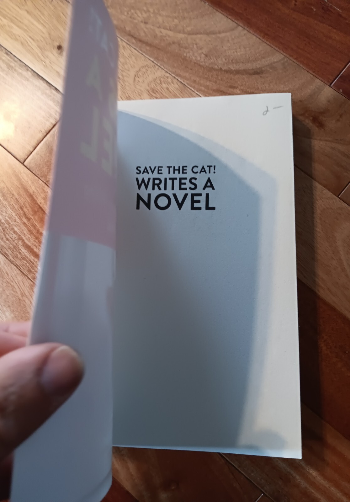 Save the Cat! Writes a Novel: The Last Book On Novel Writing You’ll Ever Need