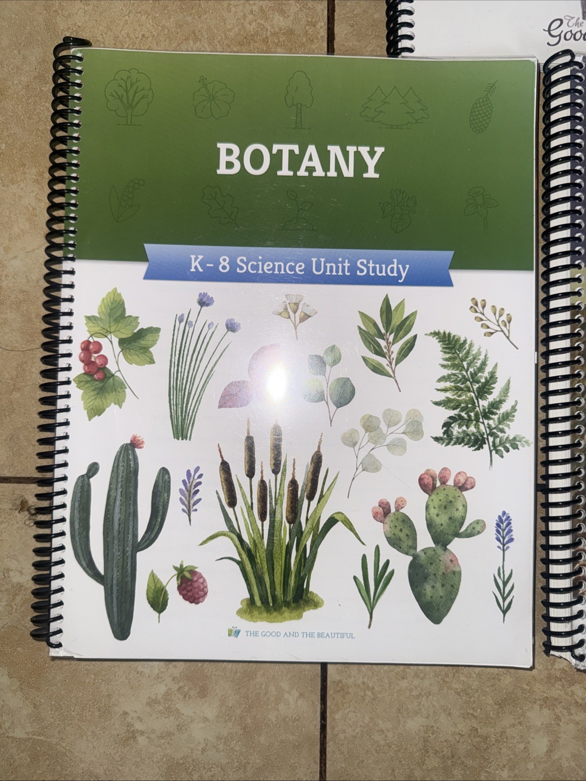Good and the Beautiful Science Unit Set K-8 Energy Human Body Botany More