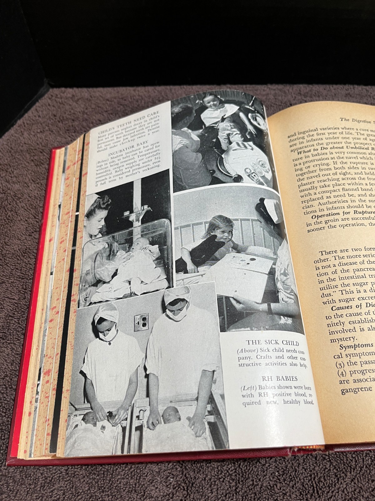 The Family Physician Dr Herman Pomeranz Dr Irvin S Koll DeLuxe Edition 1957