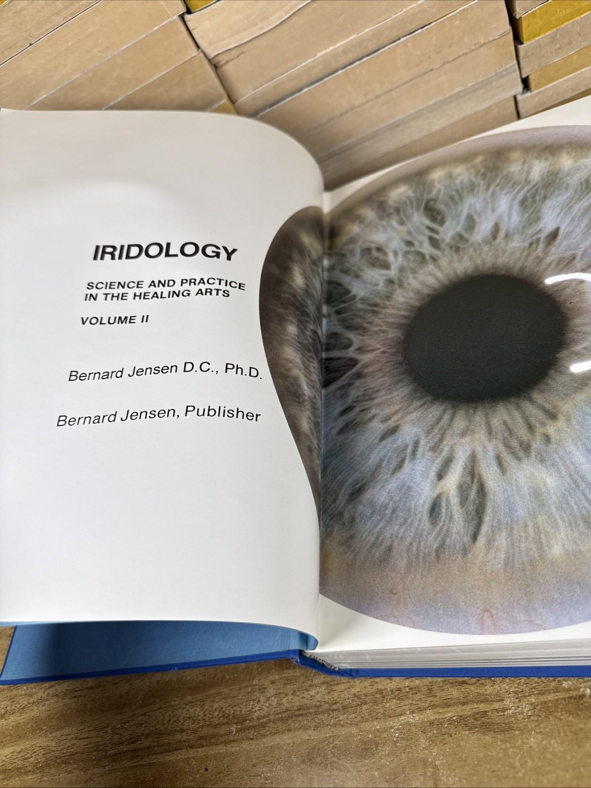 Iridology: The Science and Practice in the Healing Arts, Vol. 2 (1st Edition)
