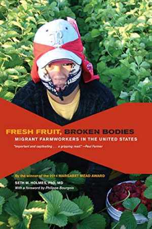 Fresh Fruit, Broken Bodies: Migrant – Paperback, by Seth Holmes – Good