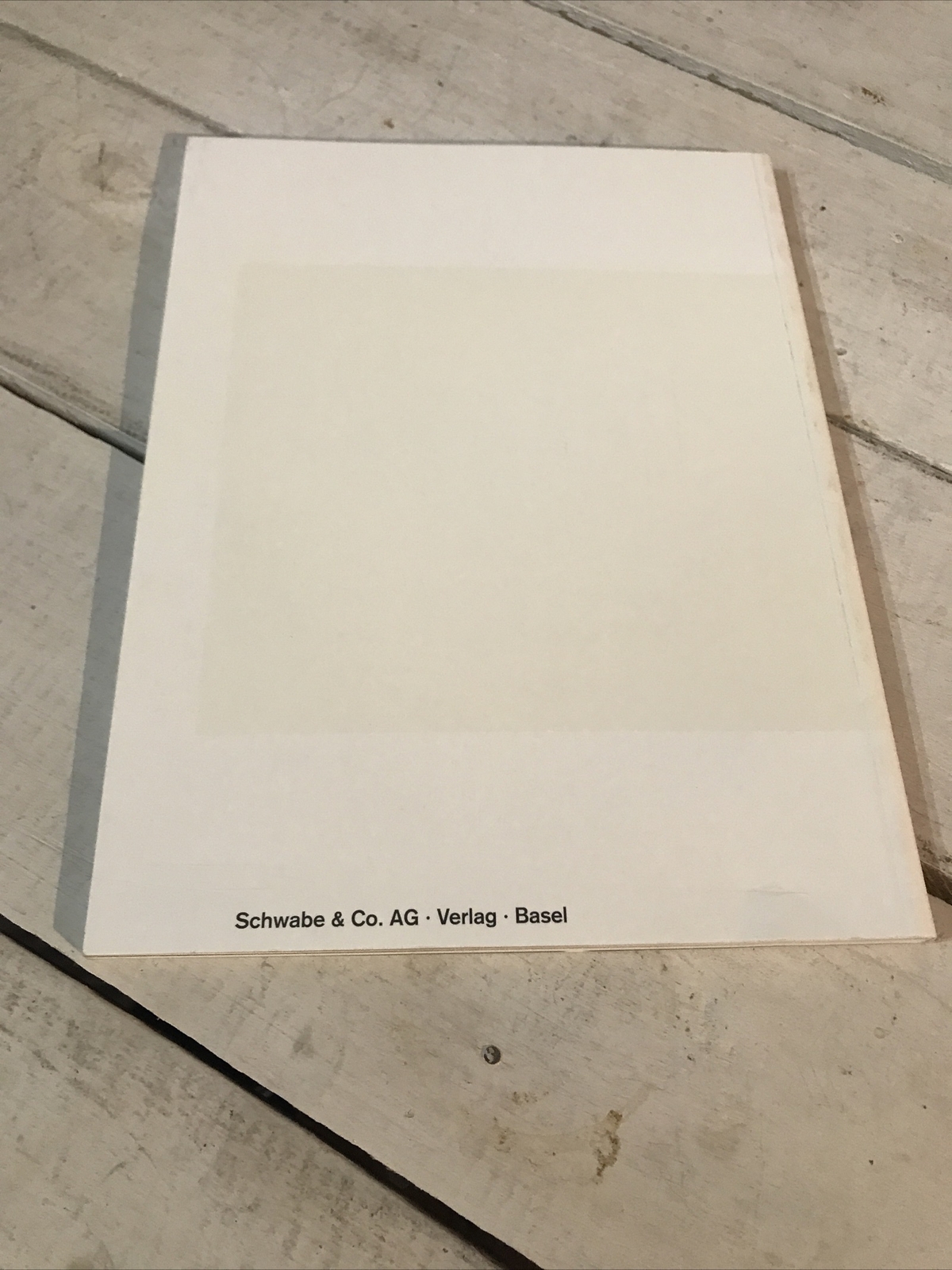 Pawel Althamer Kunsthalle Basel Best seller Paperback