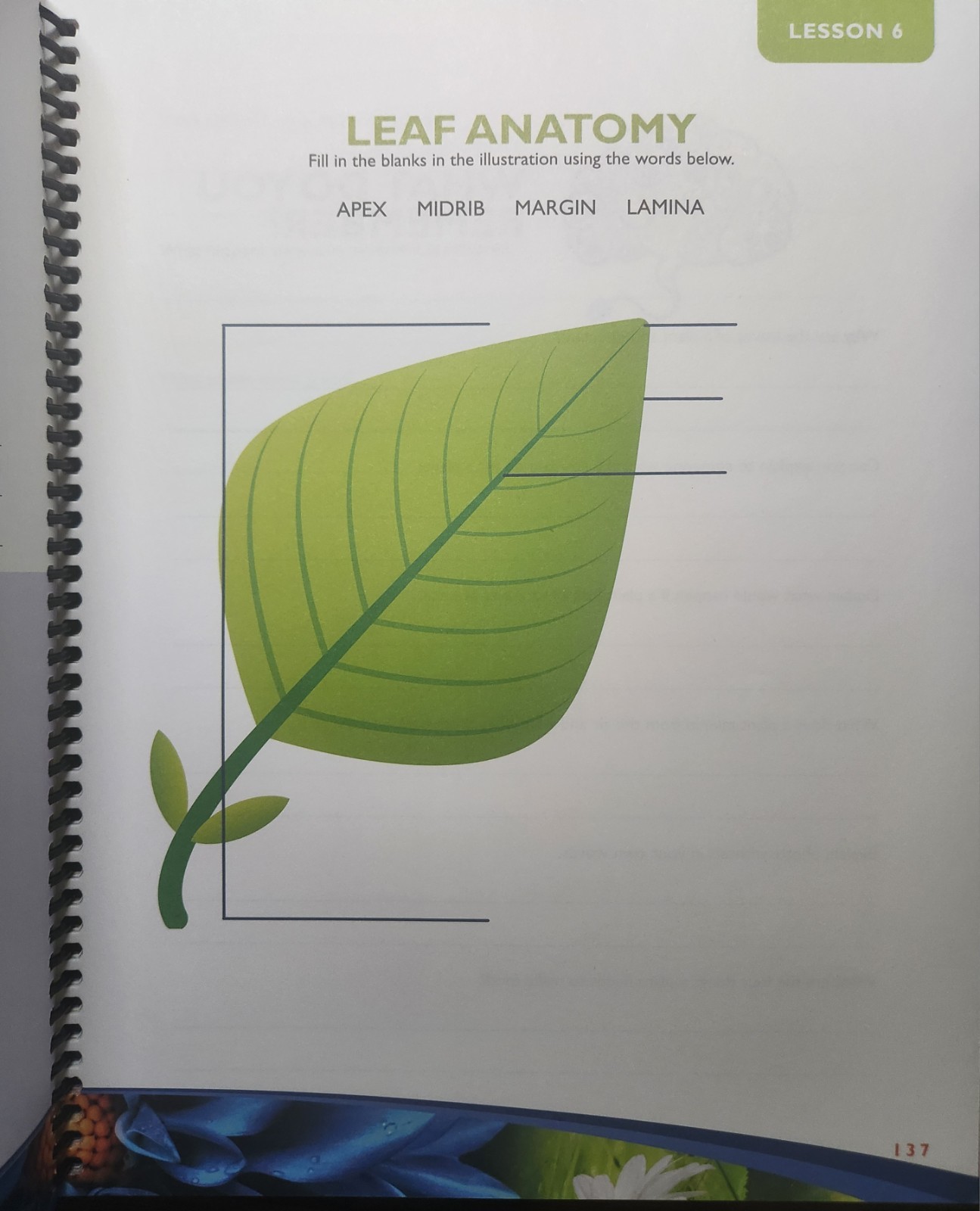Exploring Creation with Botany Notebooking Journal 2009 Spiral 2nd Edition